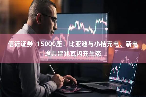 信钰证券  15000座！比亚迪与小桔充电、新电途共建兆瓦闪充生态